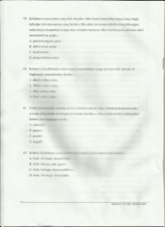 Scanned Document-19